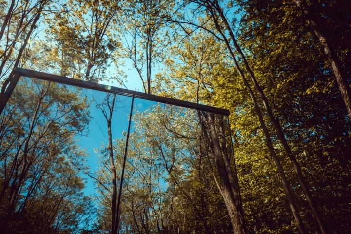 Glass Cabin In Nature