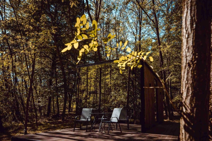 Glass House In Nature