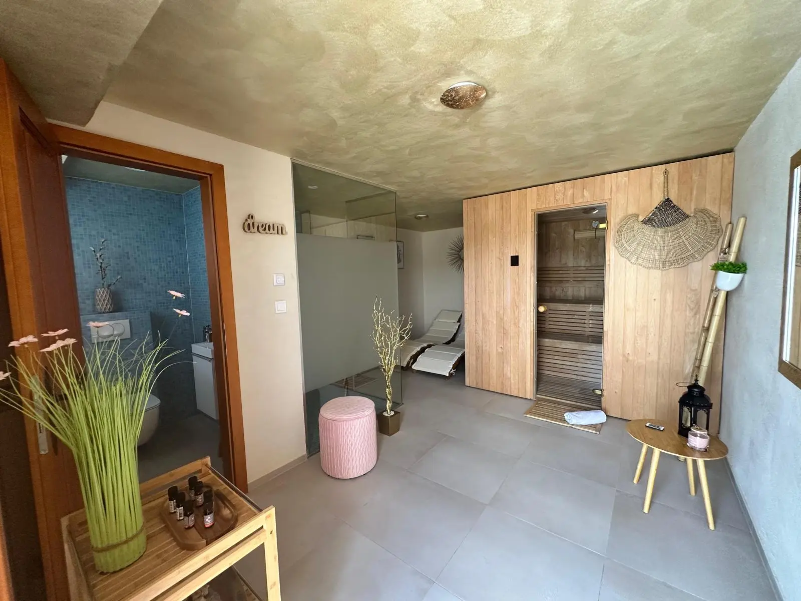 Wellness Villa Pine Log